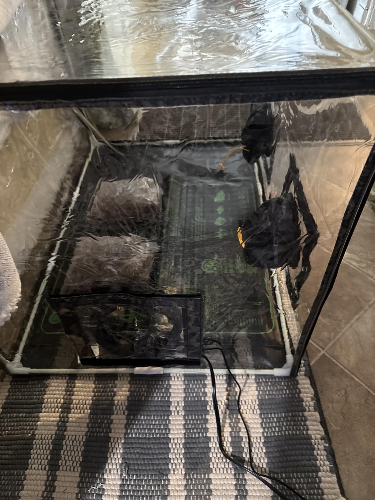 Mushroom Mycology Large Still Air Box 31.5X 20.5X 20.5 inch Professional-Grade Grow Tent with Flow Hood & Monotub Kit, Mushroom Planting Bag Tent Kit for Spores Horticulture Supplies Home Scientists customer photo 2