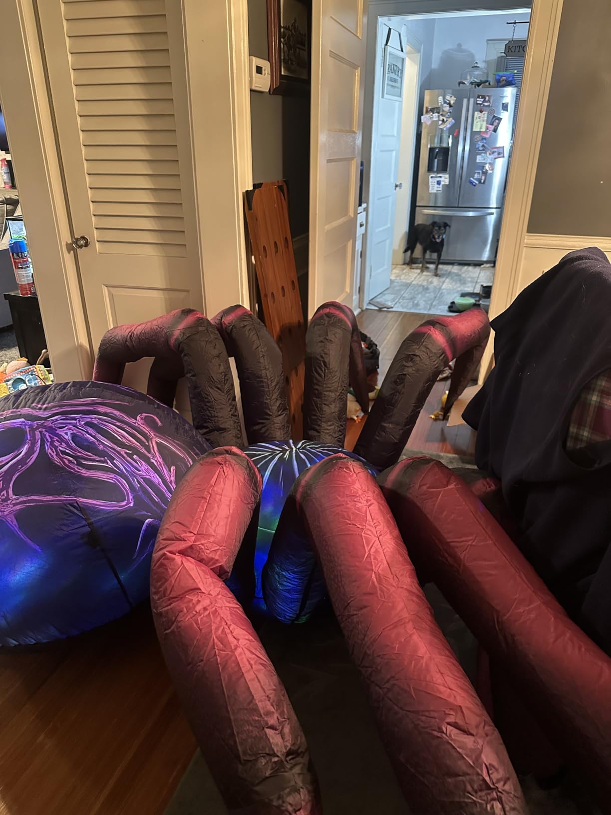 9 FT Long Halloween Inflatables Purple Gradient Spider Outdoor Decorations Blow Up with Built-in LEDs for Halloween Indoor Yard Lawn Garden Decoration customer photo 2
