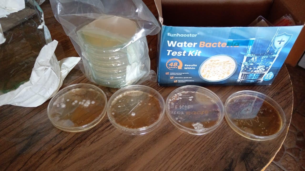 Bacteria Water Test Kit for Drinking Water, 12-Pack Well Water Testing Kit for Coliform and E. coli, At-Home Testing for Well, Tap, City and Pool Water, Includes Free Lab Analysis customer photo 1