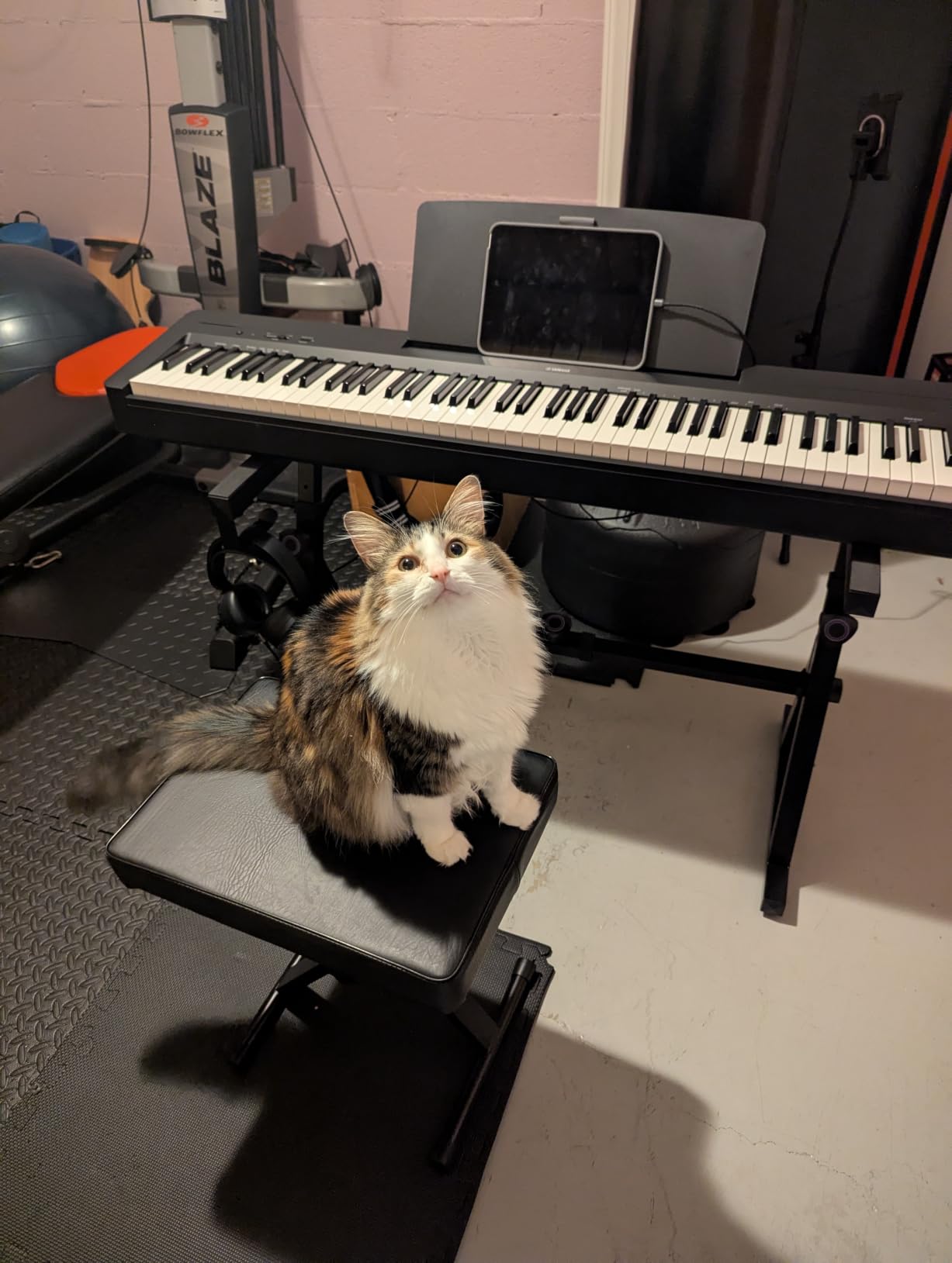 Yamaha 88-Key Digital Piano with Weighted Keys, Compact Design, Bluetooth, Keyboard, Music Rest, Sustain Foot Switch, and Built-in Speakers for Home Practice or Travel P145BT customer photo 2