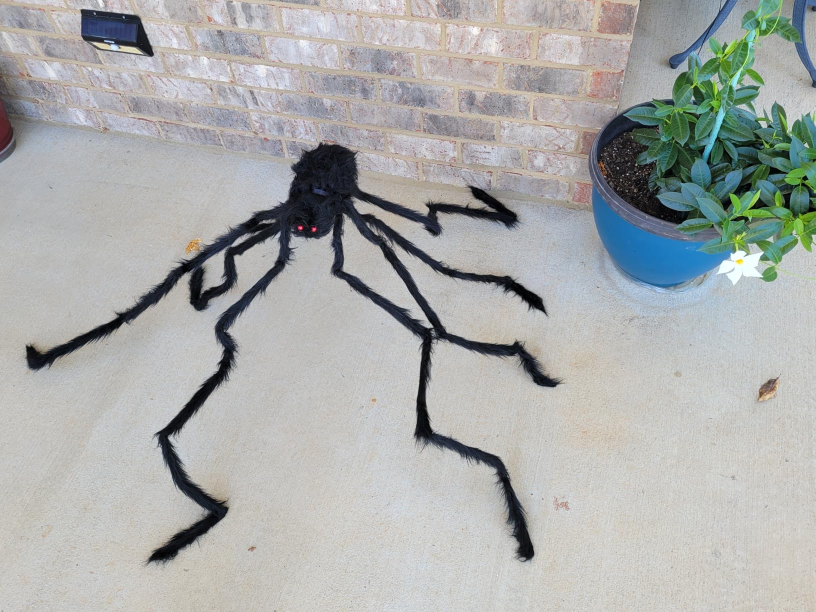 Giant Spider 6.6 Ft, 78