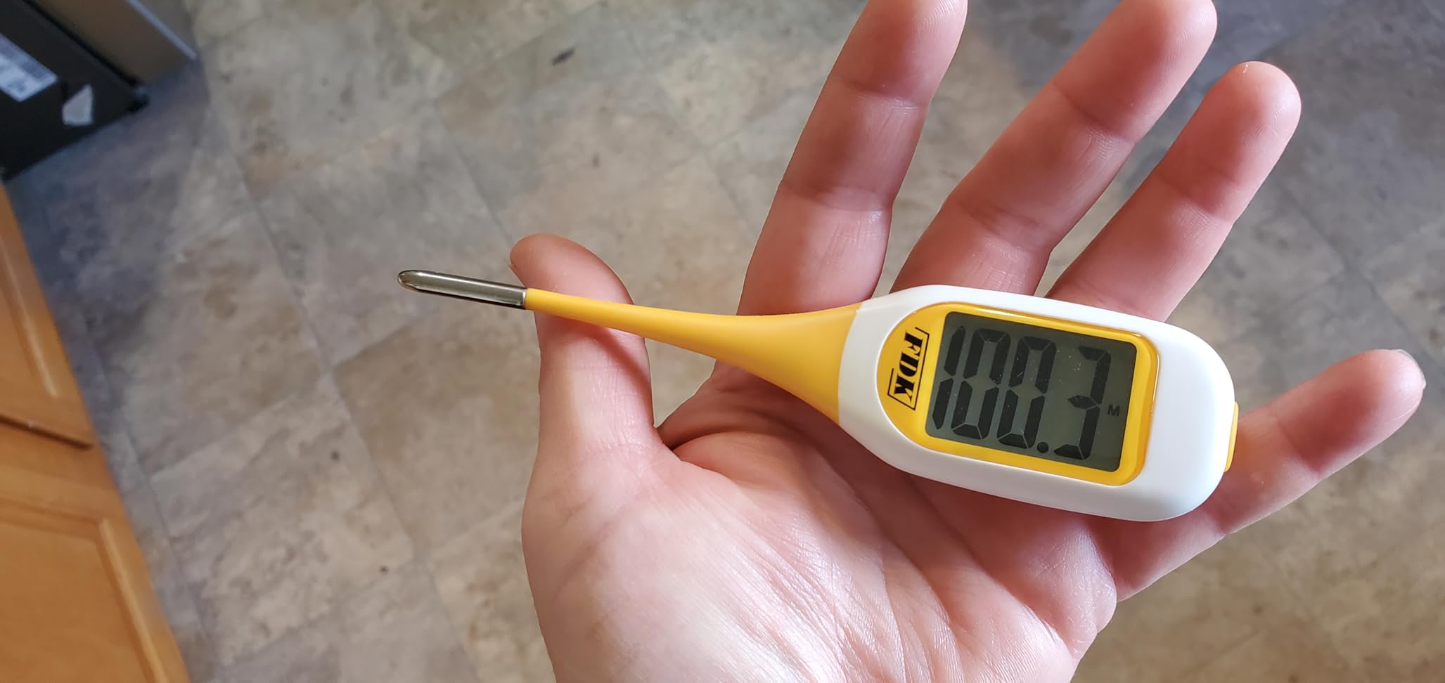 FDK 8-Second Dog & Cat Thermometer, Fast Digital Pet Rectal Thermometer with Large Backlight Screen, Fever Alarm Flexible Comfortable Soft Tip, Waterproof Veterinary Supply for Animals °C/°F customer photo 1