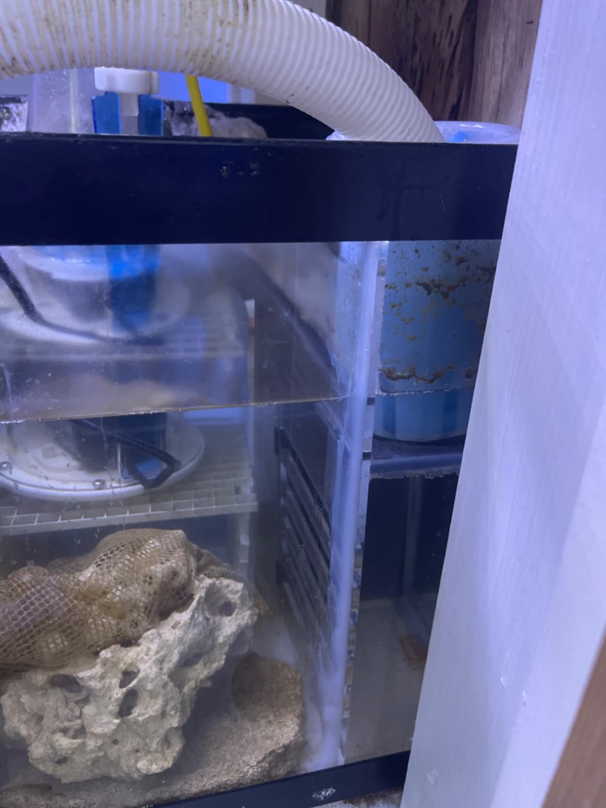 LYL LEYOULAND Adjustable Sump Baffle Kit - Refugium Kit for 10 Gallon Tank - Reef Aquarium - Saltwater Aquarium Filter System- Protein Skimmer Sump customer photo 2