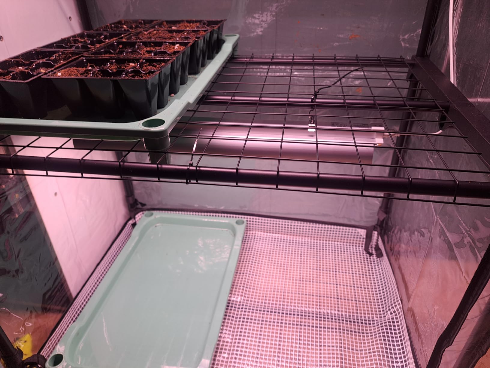 Indoor Greenhouse with Grow Light, 4-Tier Plant Shelf, 39x19x63in | 2.46FT T5 Grow Light for Seedlings, PVC Tent with Ventilation Window, Bottom Pouch, 128W Full Spectrum Plant Light with Timer customer photo 2