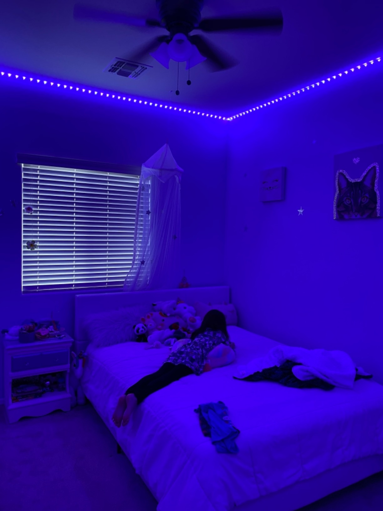 Permanent Outdoor Lights 450ft RGB Outdoor String Lights App Control IP67 Waterproof, DIY Modes for Home Christmas, Halloween, Holiday, Daily, Birthday Decor customer photo 1