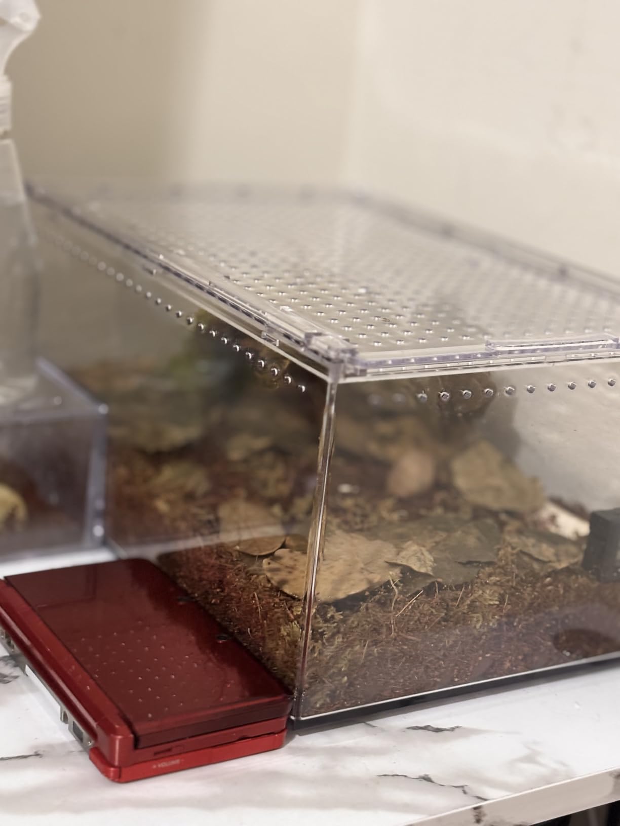 Small Reptile Tank PC Starter Kit,Escape Proof Tarantula Enclosure | Magnetic Lid Hermit Crab Habitat,Ventilation Pet Baby Spider Terrarium Stackable Isopods Cage,Easy Clean Pet Snail Container customer photo 1