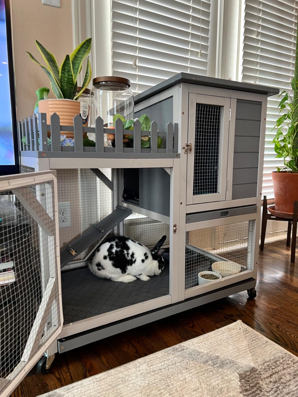 COZIWOW Rabbit Hutch Indoor Outdoor with No-Spill Design, 2 Wire Floors & Removable Trays, 2-Story Large Wooden Bunny Cage on Wheels, Chewproof Ramp for Multiple Small Animals, Gray customer photo 1