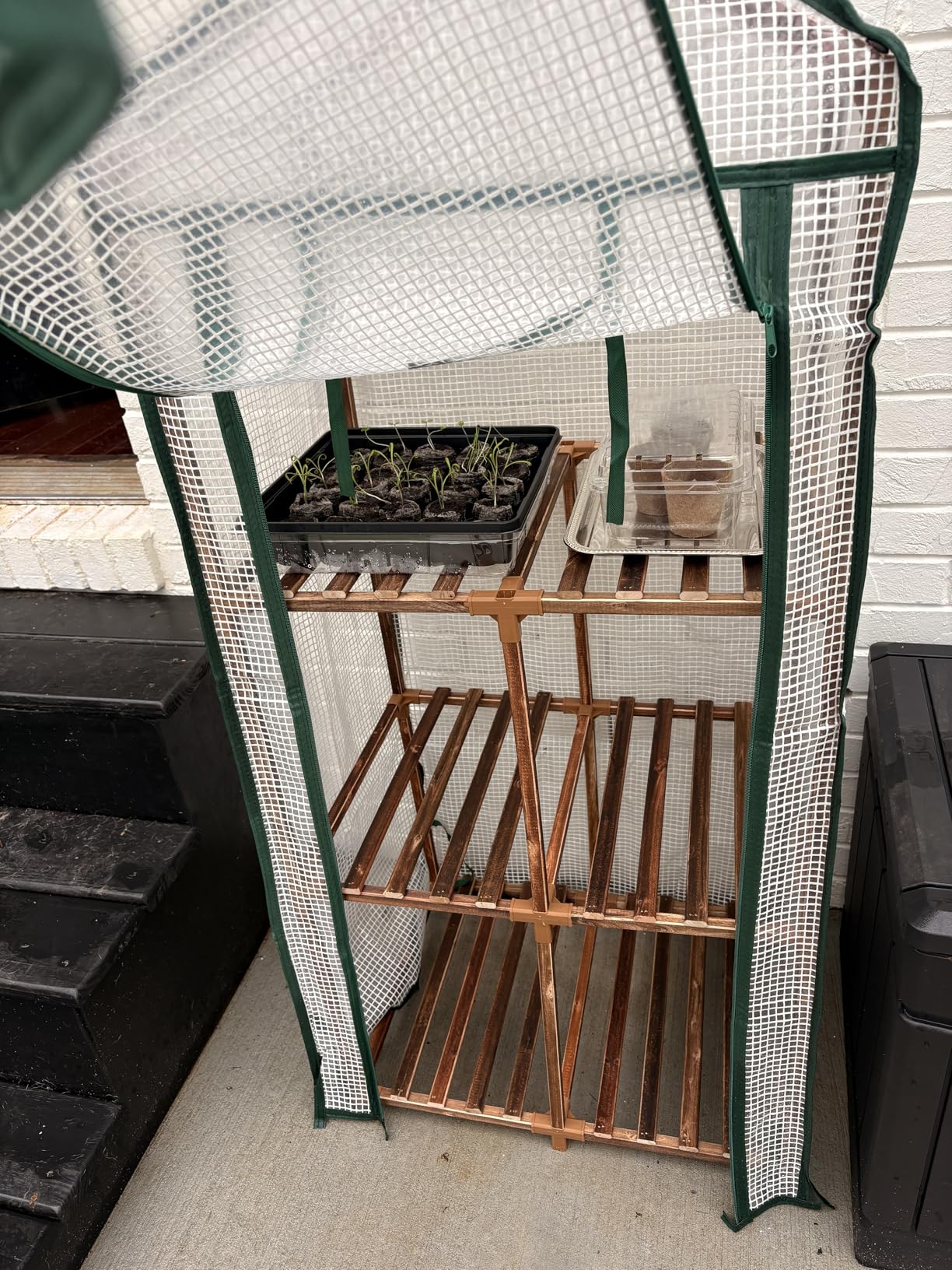 Bamworld Greenhouse for Outdoors Small Plant Green House 3-Tier Rack Stand Portable Greenhouses with Durable PE Cover for Seedling Ideal Gardening Gifts for Women Plants Lover customer photo 2