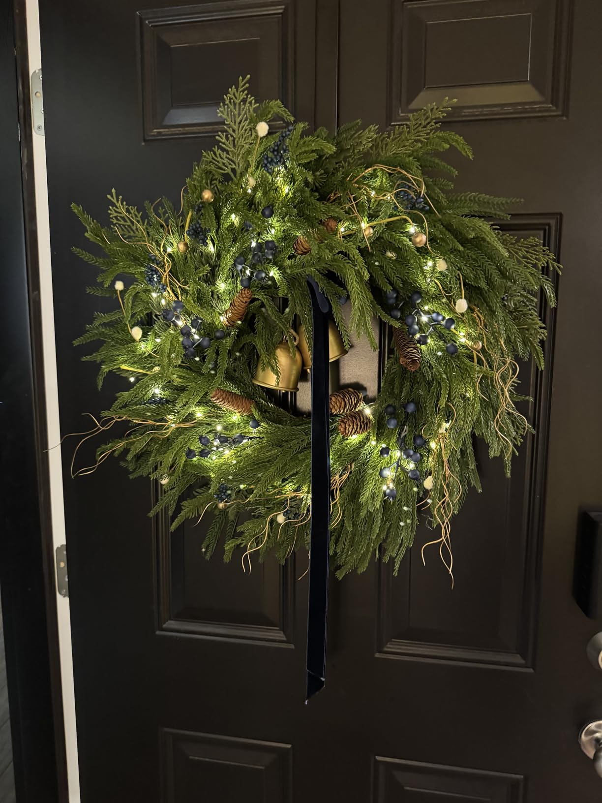 24 Inch Pre-Lit Norfolk Pine Christmas Wreath for Front Door, Artificial Plants Green Christmas Wreath with Lights, Velvet Ribbon, Natural Berries, Pinecones and Bells, Lighted Door Wreath customer photo 1