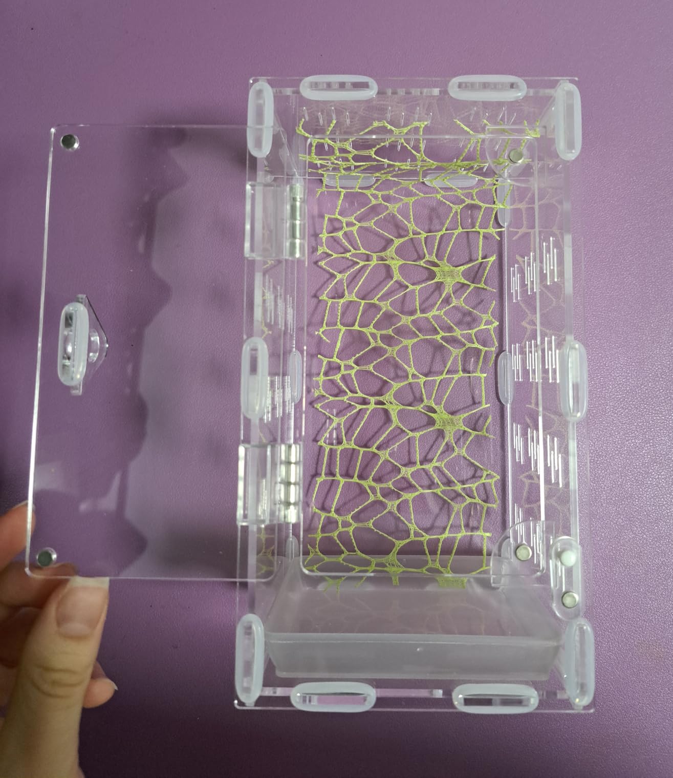 Jumping Spider Enclosure, Spider Terrarium, Acrylic Enclosure Kit, Small Terrarium, Insect Habitat for Spiders, Praying Mantis, Arboreal Tarantula, Bug, Frog, Snail, Lizard and Small Reptiles customer photo 1