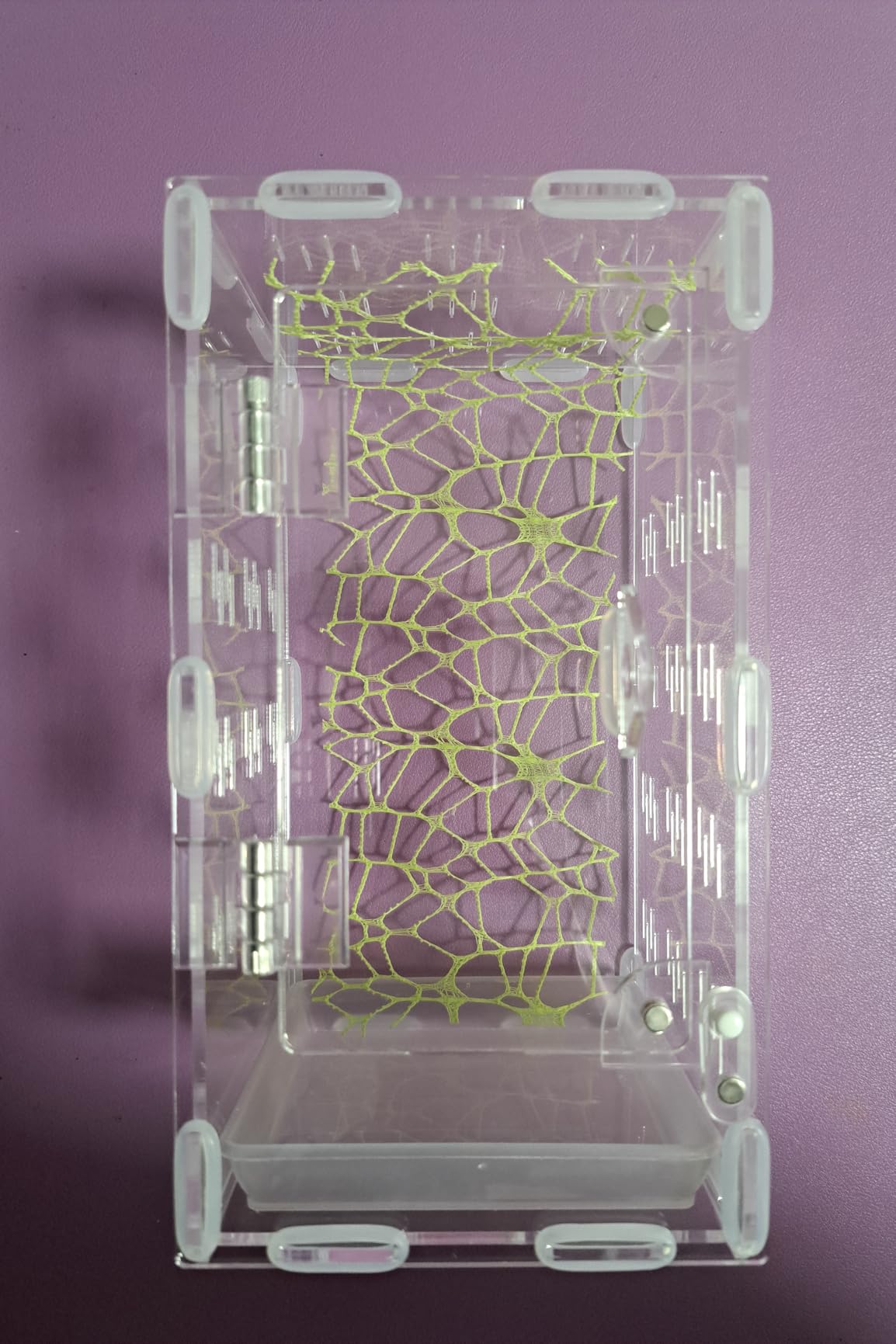 Jumping Spider Enclosure, Spider Terrarium, Acrylic Enclosure Kit, Small Terrarium, Insect Habitat for Spiders, Praying Mantis, Arboreal Tarantula, Bug, Frog, Snail, Lizard and Small Reptiles customer photo 2