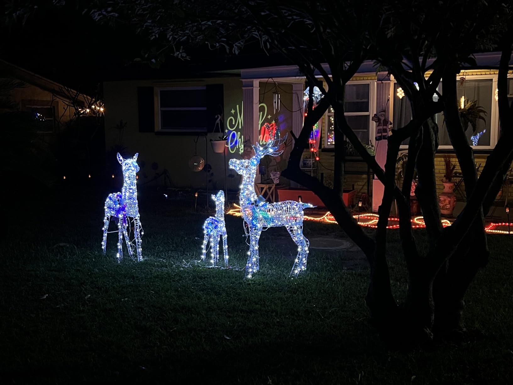 3-Piece Iridescent Christmas Deer Outdoor Decorations, 4.5ft Reindeer Family Set Outdoor Lighted Display with 350 LEDs, 2025 Upgraded Rattan, Stakes & Zip Ties for Long-Lasting Yard Garden Decor customer photo 1