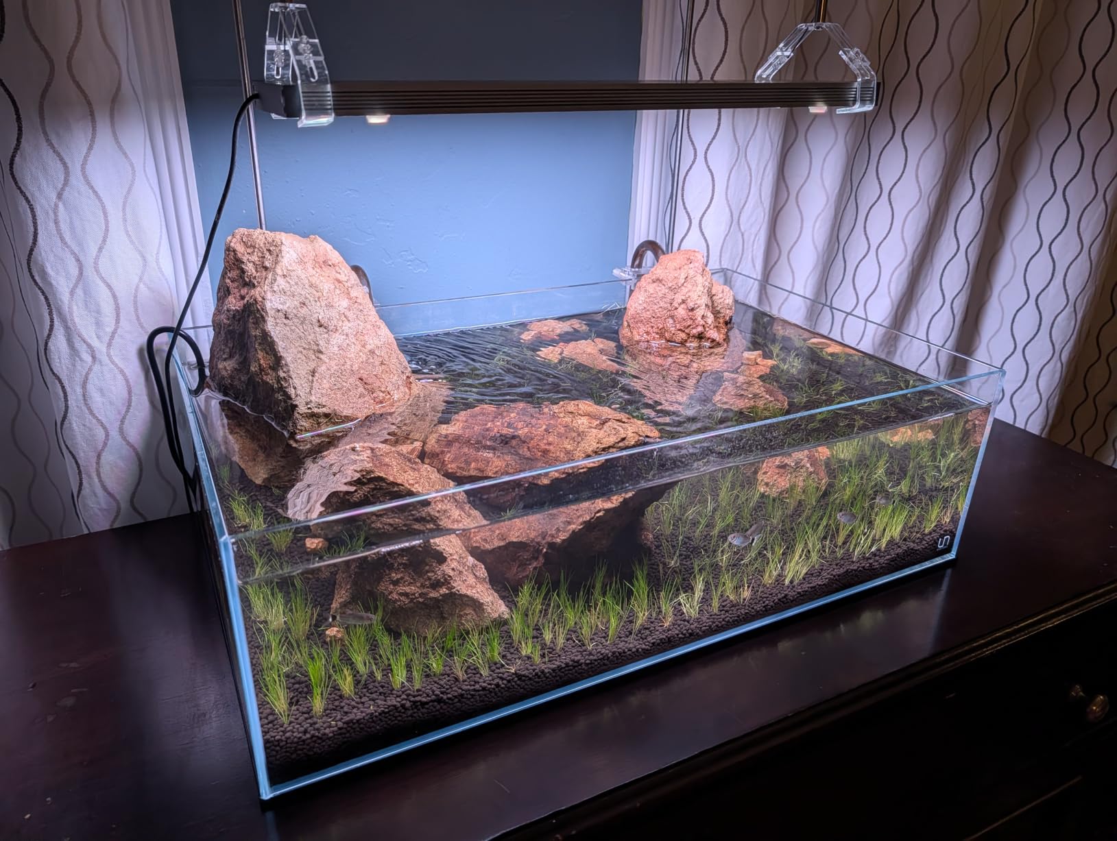 FZONE 5L Upgraded Aquarium CO2 System with Complete Accessories, CO2 Generator kit with Integrated Solenoid & Bubble Counter, Safety Valve, Main Switch for Planted Tanks customer photo 2