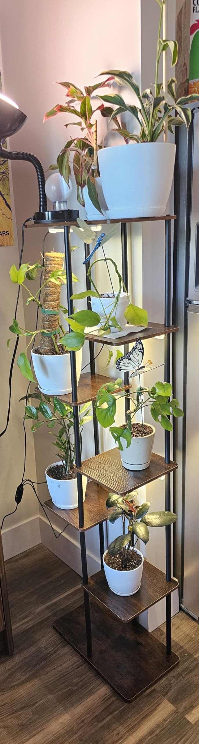 Bamworld Plant Shelf with Grow Light for Indoor Plants Corner 6 Tier | Metal Plant Stand Wood Flower Stand for Home Living Room Decor Patio Decor customer photo 2