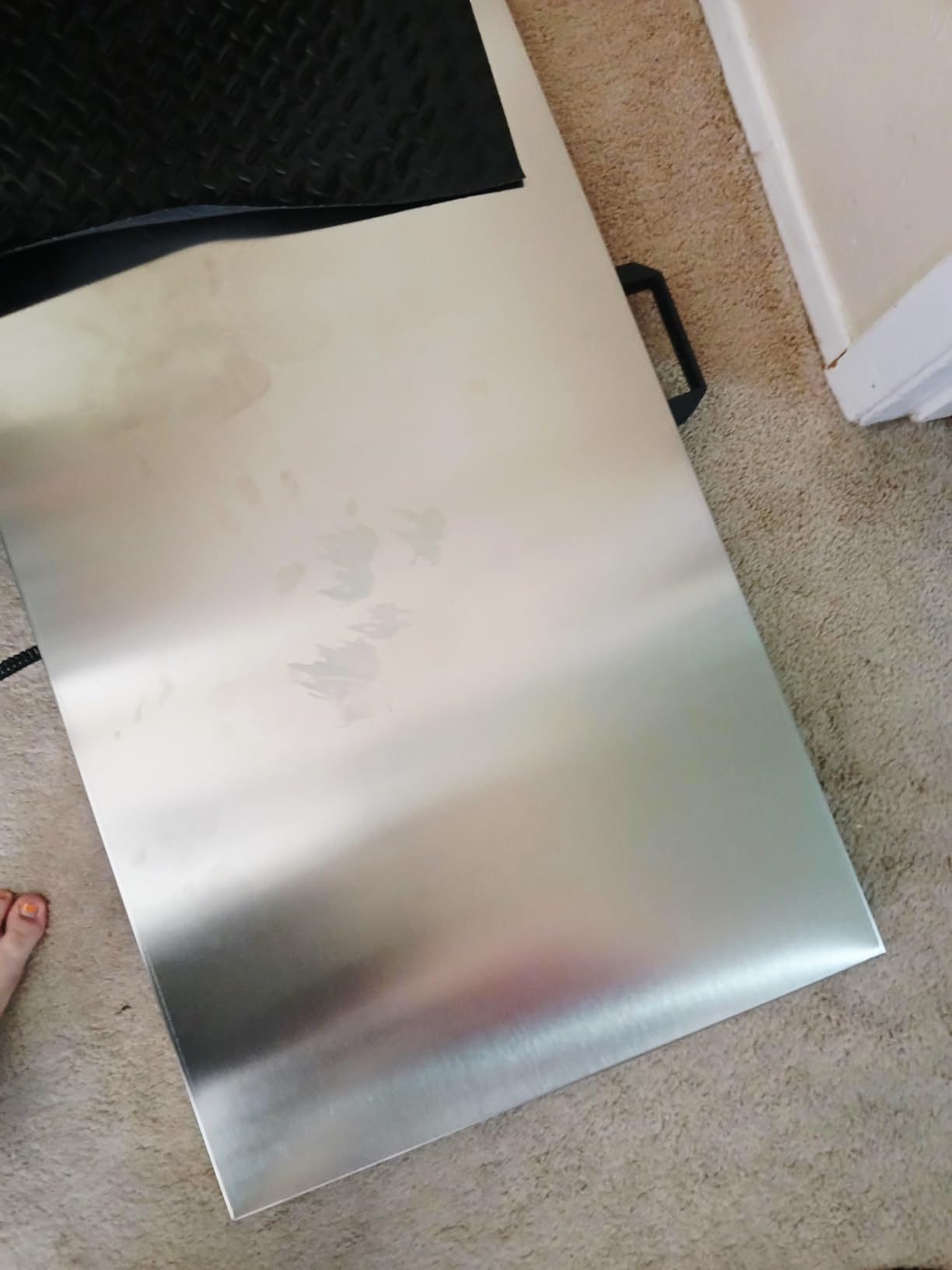 Large Dog Scales for Large Breed, 1100lb x 0.2lb Pet Scale for Large Dog, Livestock Scale, Animal Scale, Stainless Steel Platform, Large Scale for Dogs Sheep Goat Pig Shipping Scale customer photo 1