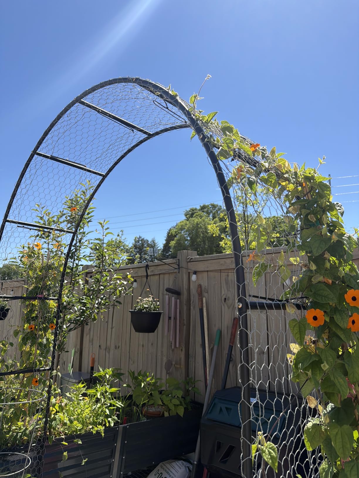 Thickened Tube Garden Arch,7.3ft Heavy-Duty Metal with 16mm Steel Tubes & 0.5mm Thickened Wall, Durable Outdoor Trellis for Climbing Plants,Roses,Garden Party,Ceremony & Decorations (Black) customer photo 2