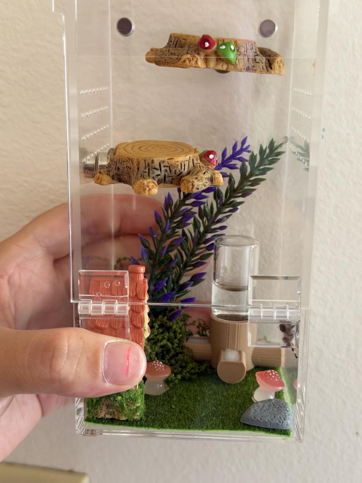 Jumping Spider Enclosure Starter Kit,Escape Proof Forest Terrarium | Praying Mantis Terrariums,Transparent Acrylic Complete Bug Habitat,All In One Arboreal Tarantula Cribs Cage,Insect Container customer photo 1