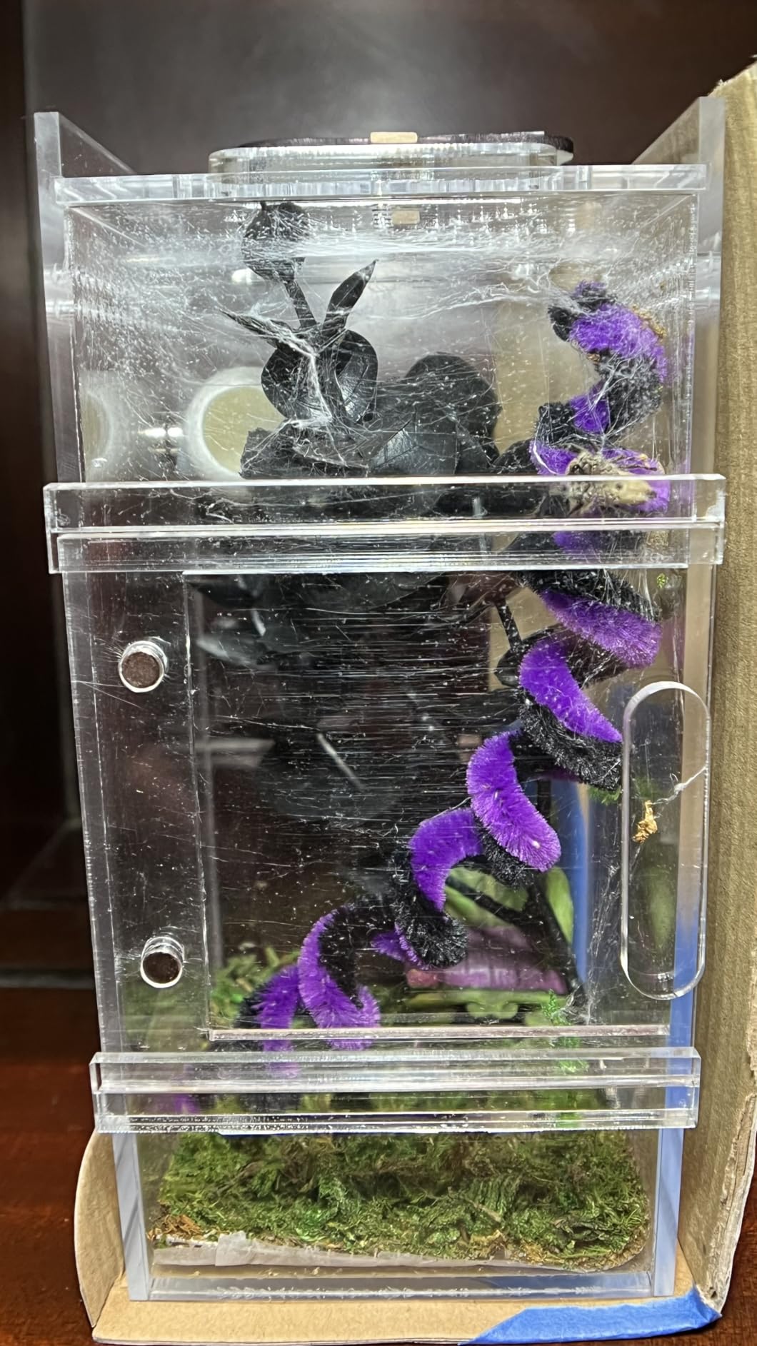 Jumping Spider Enclosure Small Acrylic Spider Cage Insect Terrarium Bug Enclosure Tarantula Enclosure Reptile Terrarium for Snail, Mantis, Lizard, and Small Reptiles - Big House Shape customer photo 1