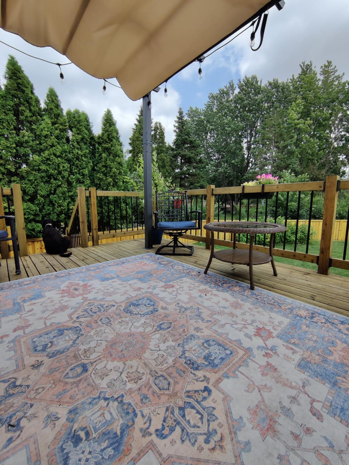 GENIMO 5x8 Outdoor Rug, Washable for Patio and Deck, Blue | Vintage boho medallion design for porch; fade resistant chenille with quick-dry non-slip backing for indoor sunroom. customer photo 2