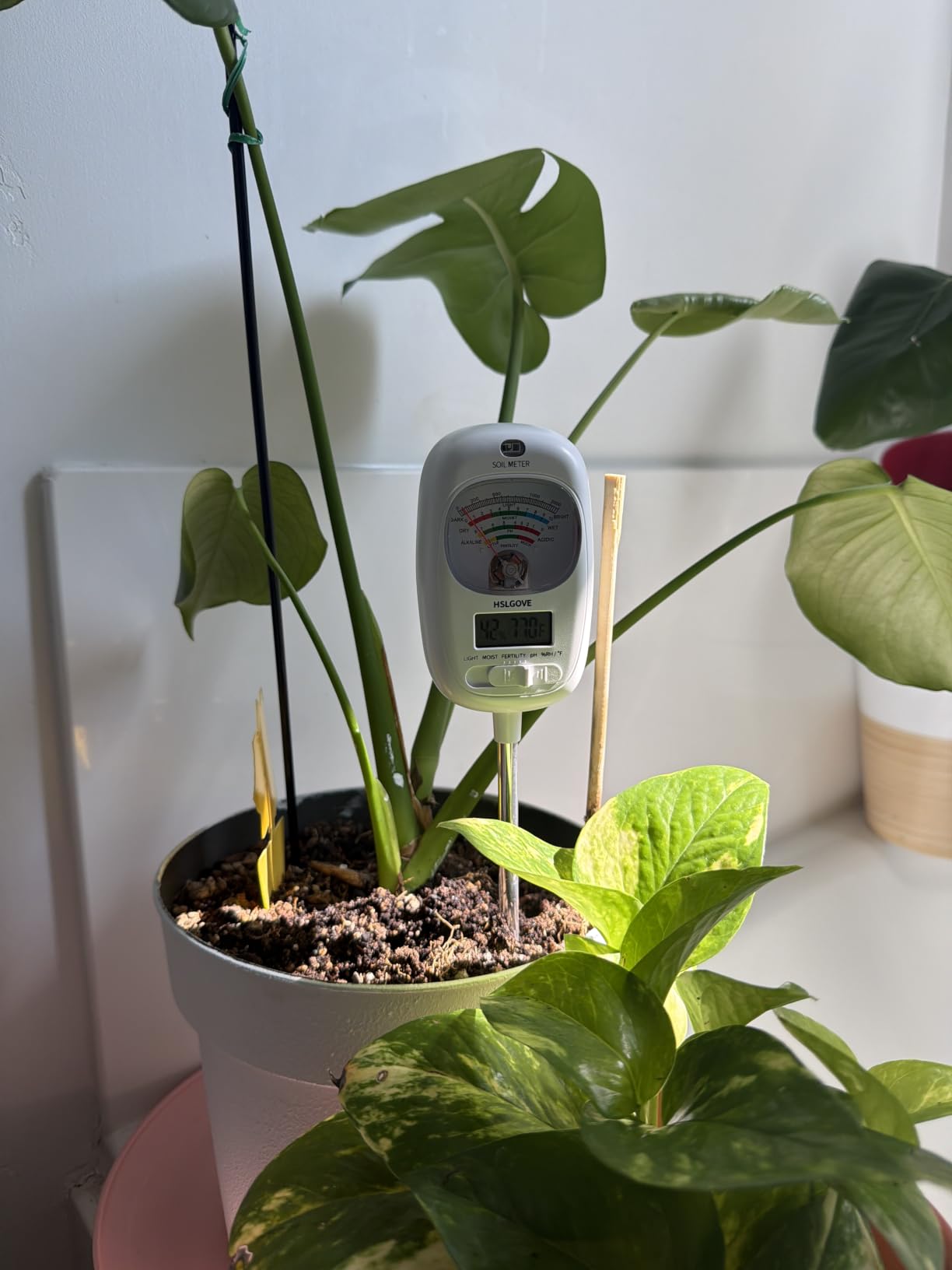 HSLGOVE Soil Test Kit, 7-in-One Soil Moisture Meter/Soil PH Meter/Fertility, Dual Screen Soil Tester w/Digital Soil Temp/Air Temp&Humidity for Plants Gardening,Lawn,Farm Indoor&Outdoor-Lvory White customer photo 1