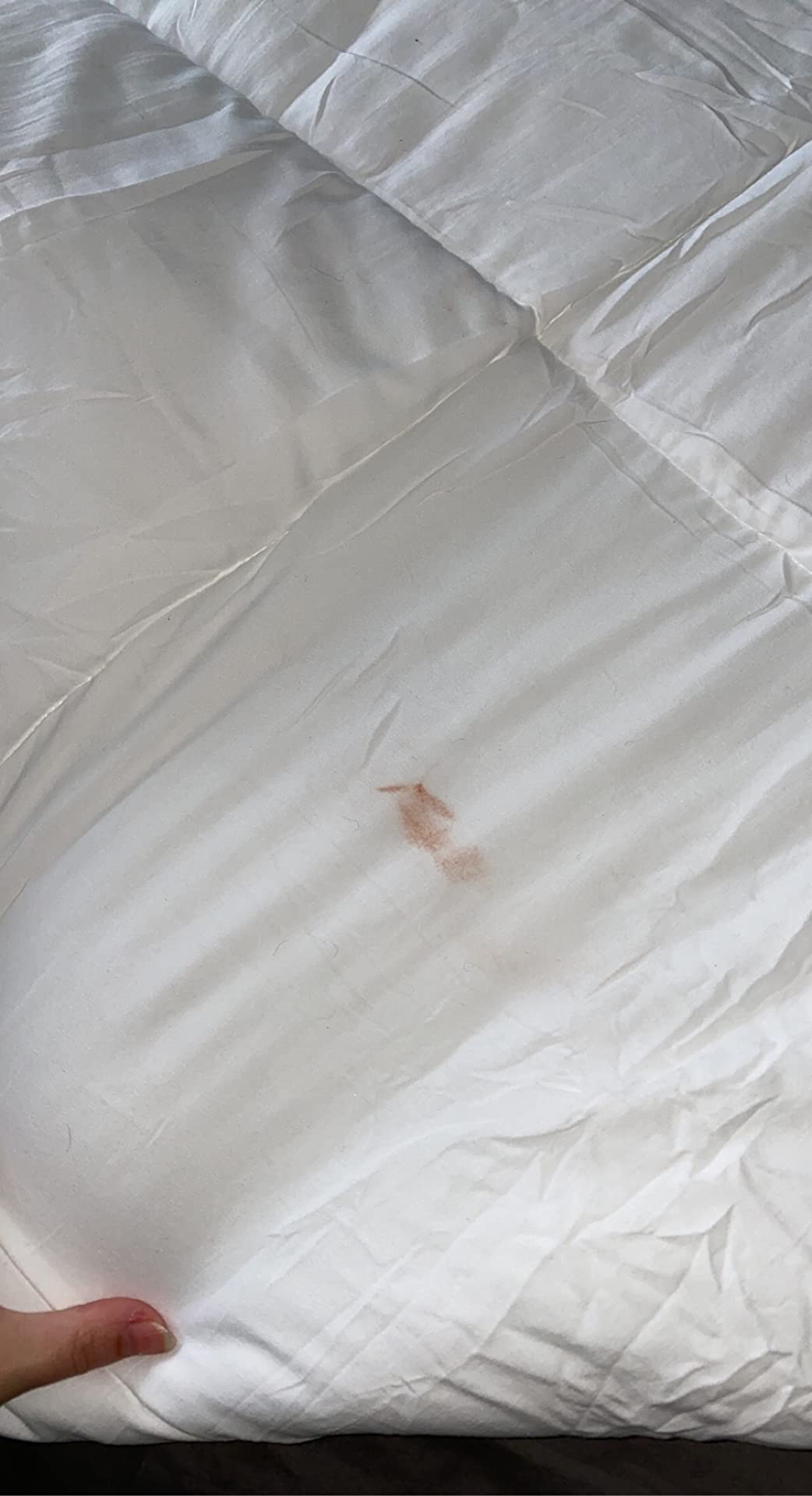 APSMILE Goose Feather Down Fibers Comforter Queen Size, 90x90 Inch | Organic Cotton Duvet Insert, All Season Warmth, Baffle Box, Quill-Free Soft Fluffy Hotel Bed Comforter, Ivory White customer photo 1