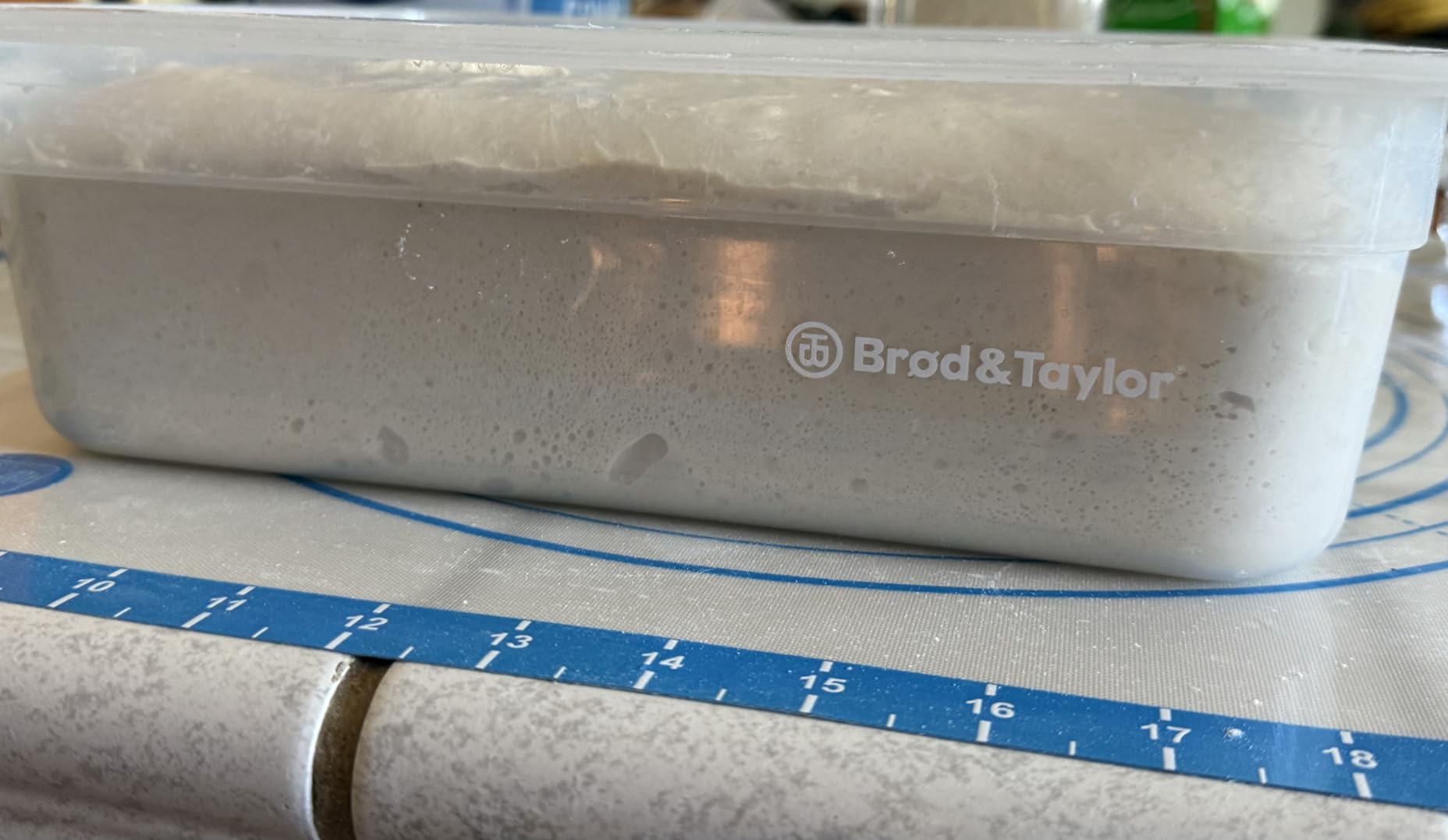 Brod & Taylor Proofing Container (2 Pack) With 6L Capacity, Fits Up to 3000 Grams of Dough - Dough Rising Box for Bread, Sourdough & Pizza customer photo 1