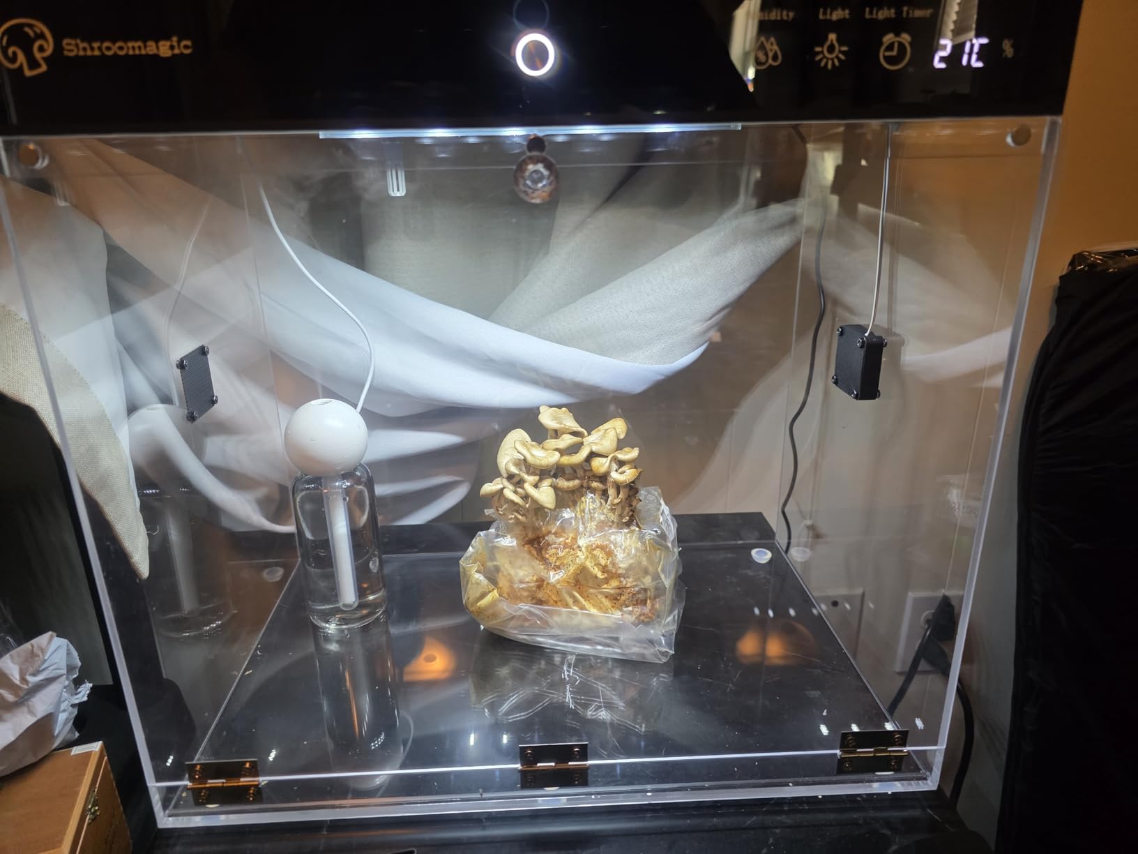 Smart Mushroom Growing Kit for Indoor Use, Automatic Humidity & Light Control, Mushroom Grow Box with Fresh Air Exchange System, Grow Gourmet & Functional Mushrooms at Home, Monotub Compatible, 16x11x15 In customer photo 1