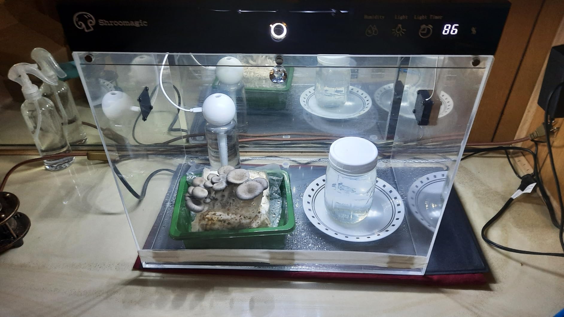 Smart Mushroom Growing Kit for Indoor Use, Automatic Humidity & Light Control, Mushroom Grow Box with Fresh Air Exchange System, Grow Gourmet & Functional Mushrooms at Home, Monotub Compatible, 16x11x15 In customer photo 2