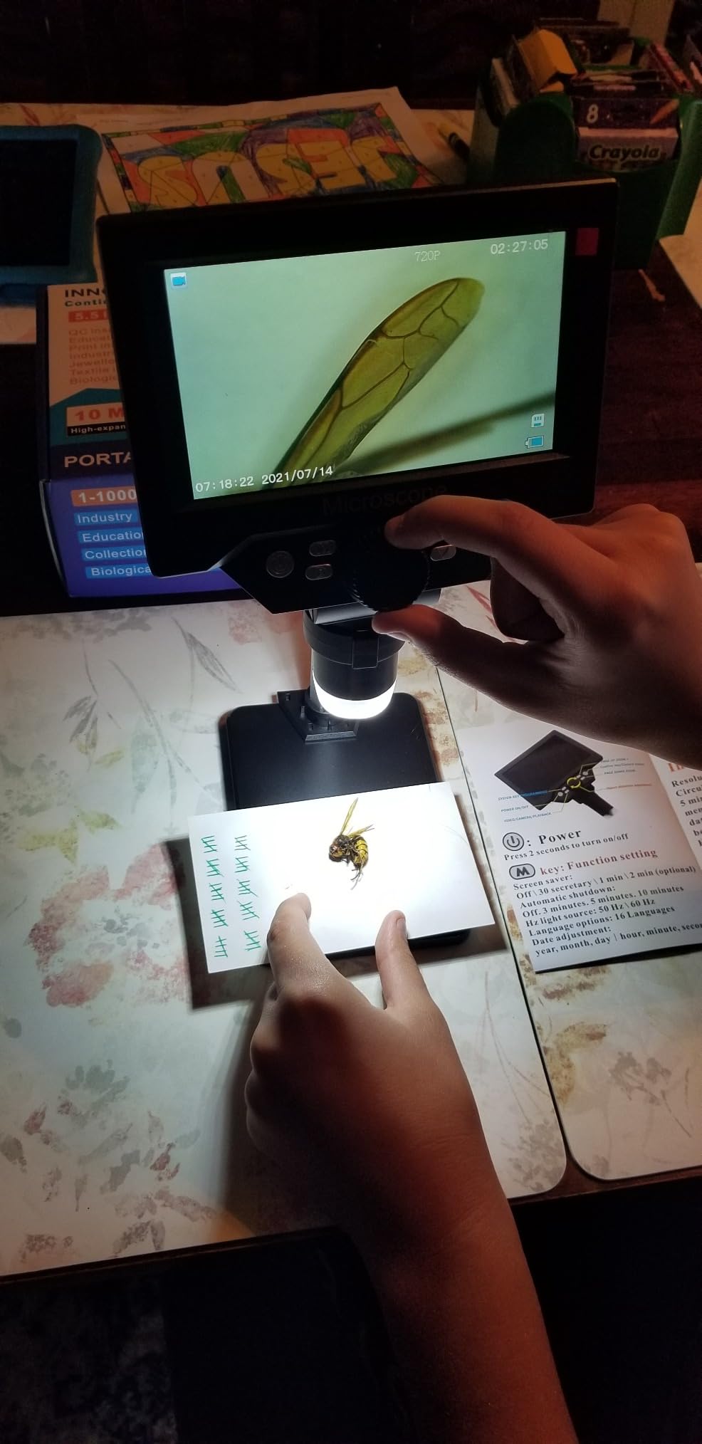 PalliPartners 40x-2000x Biological Compound Trinocular Microscope | 5MP camera for digital capture, Professional grade optics, bright LED illumination, perfect for adult hobbyists customer photo 1