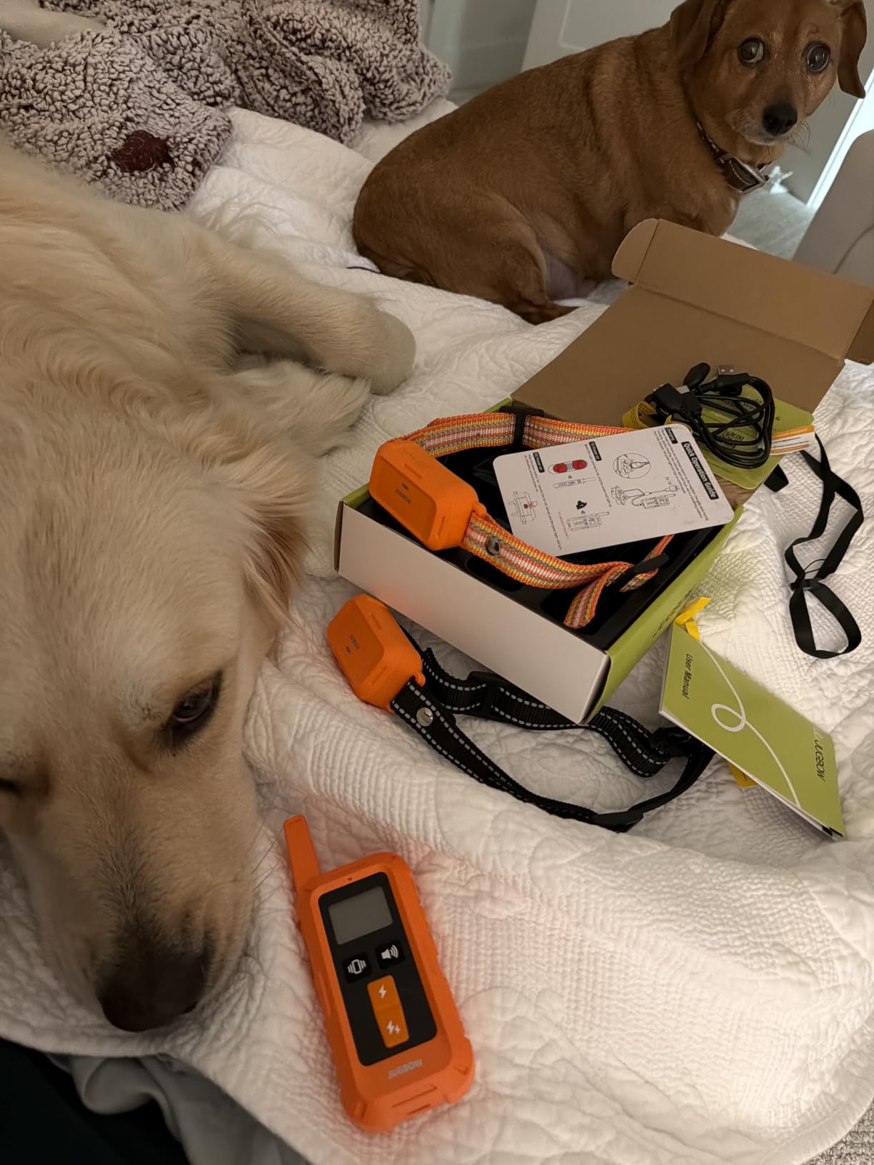 Shock Collar for Dogs- 4200FT Dog Training Collar with Remote | IPX8 Waterproof Rechargeable E-Collar with Beep, Vibration & Shock for Small Medium Large Dogs (10-120lbs), Safe-Lock customer photo 1