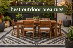 best outdoor area rugs