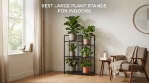 best large plant stands for indoors