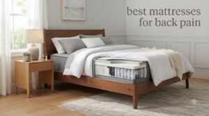 best mattresses for back pain