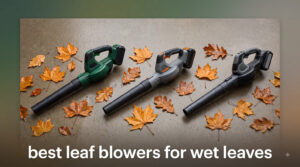 best leaf blowers for wet leaves