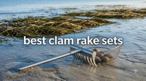 best clam rake sets