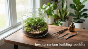 best terrarium building tool kits