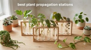 best plant propagation stations