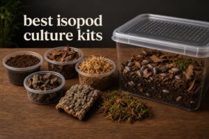 best isopod culture kits