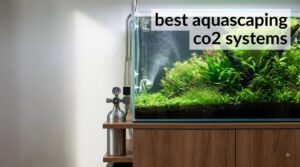 best aquascaping co2 systems