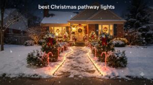 best christmas pathway lights