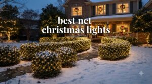 best net christmas lights