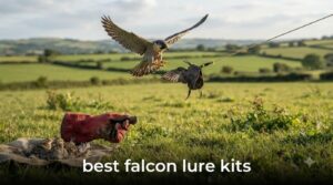 best falcon lure kits