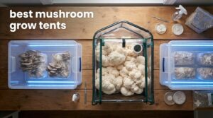 best mushroom grow tents