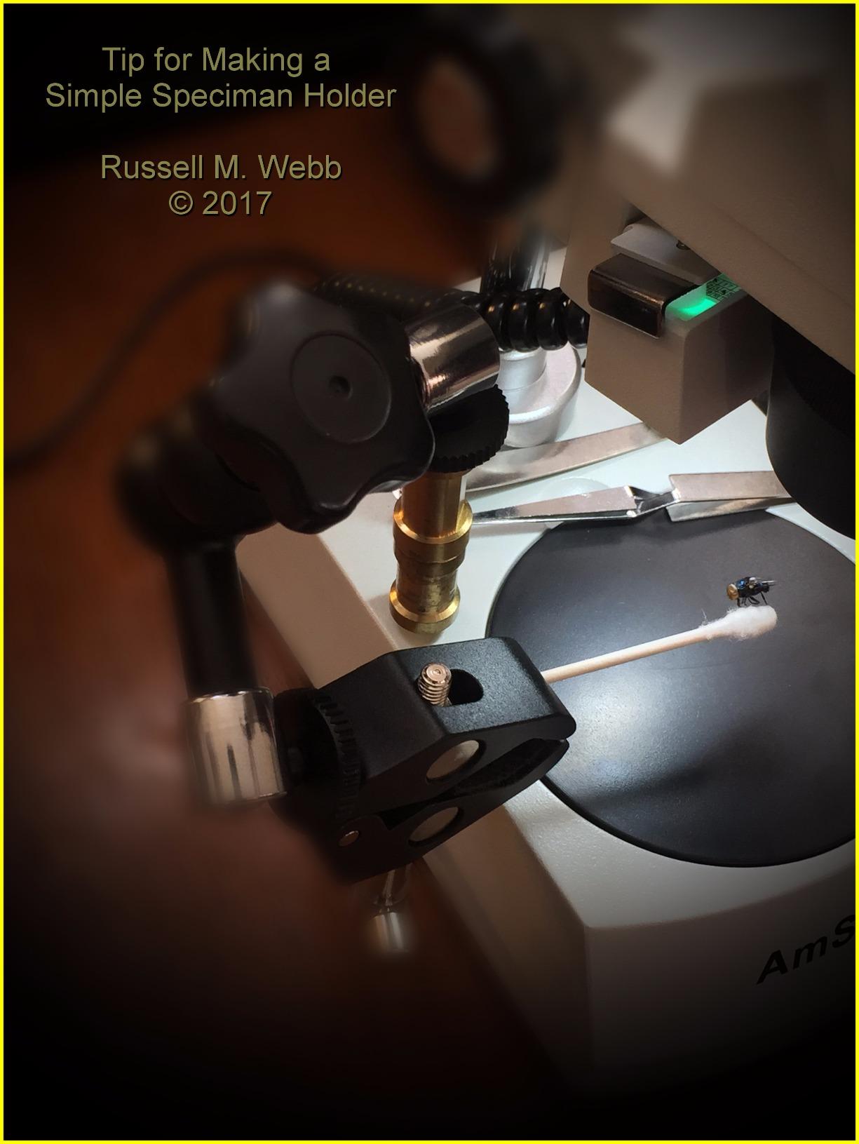 AmScope SE306R-P-LED Cordless LED Stereo Microscope, 20x-40x customer photo 1