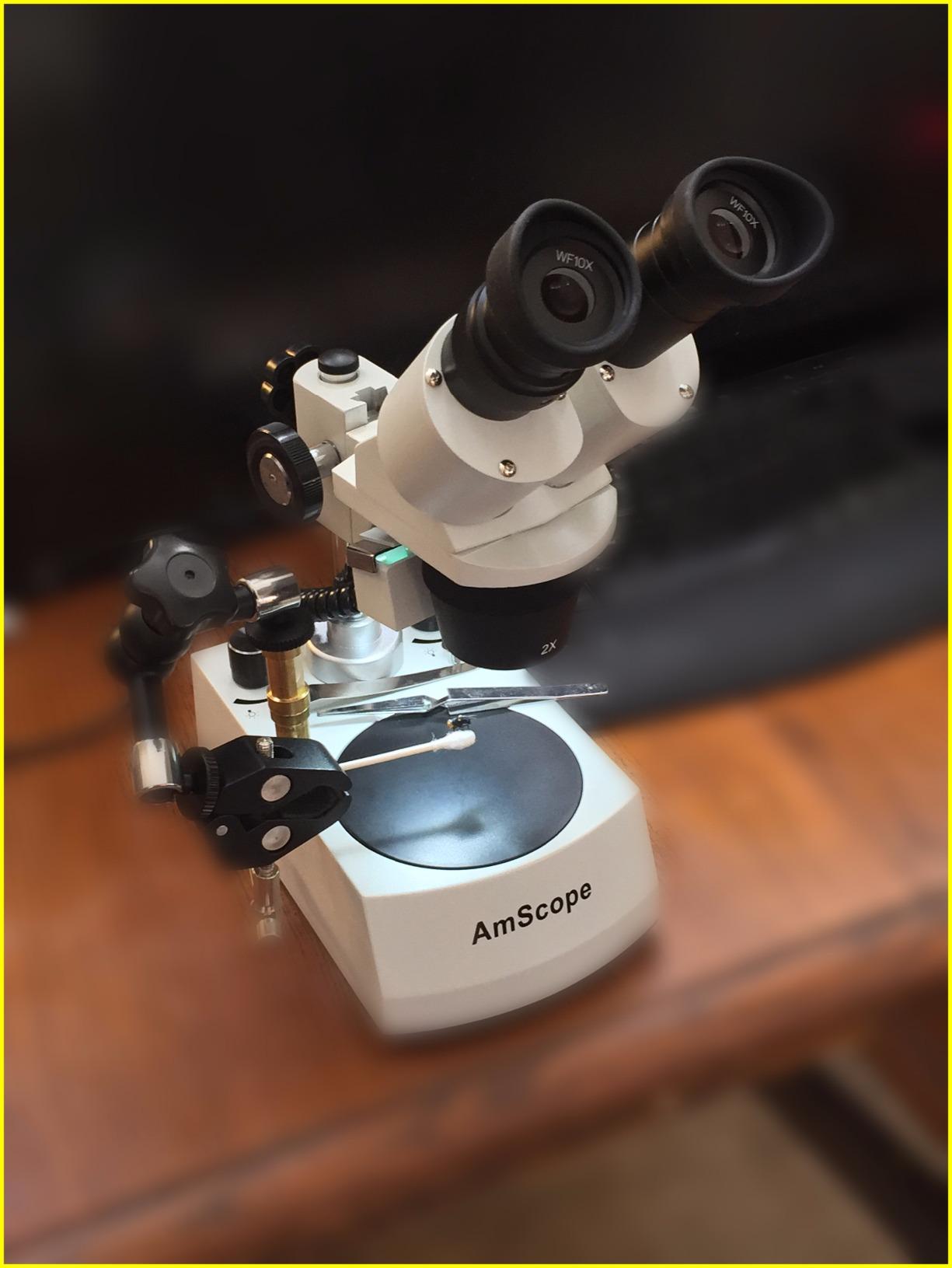 AmScope SE306R-P-LED Cordless LED Stereo Microscope, 20x-40x customer photo 2
