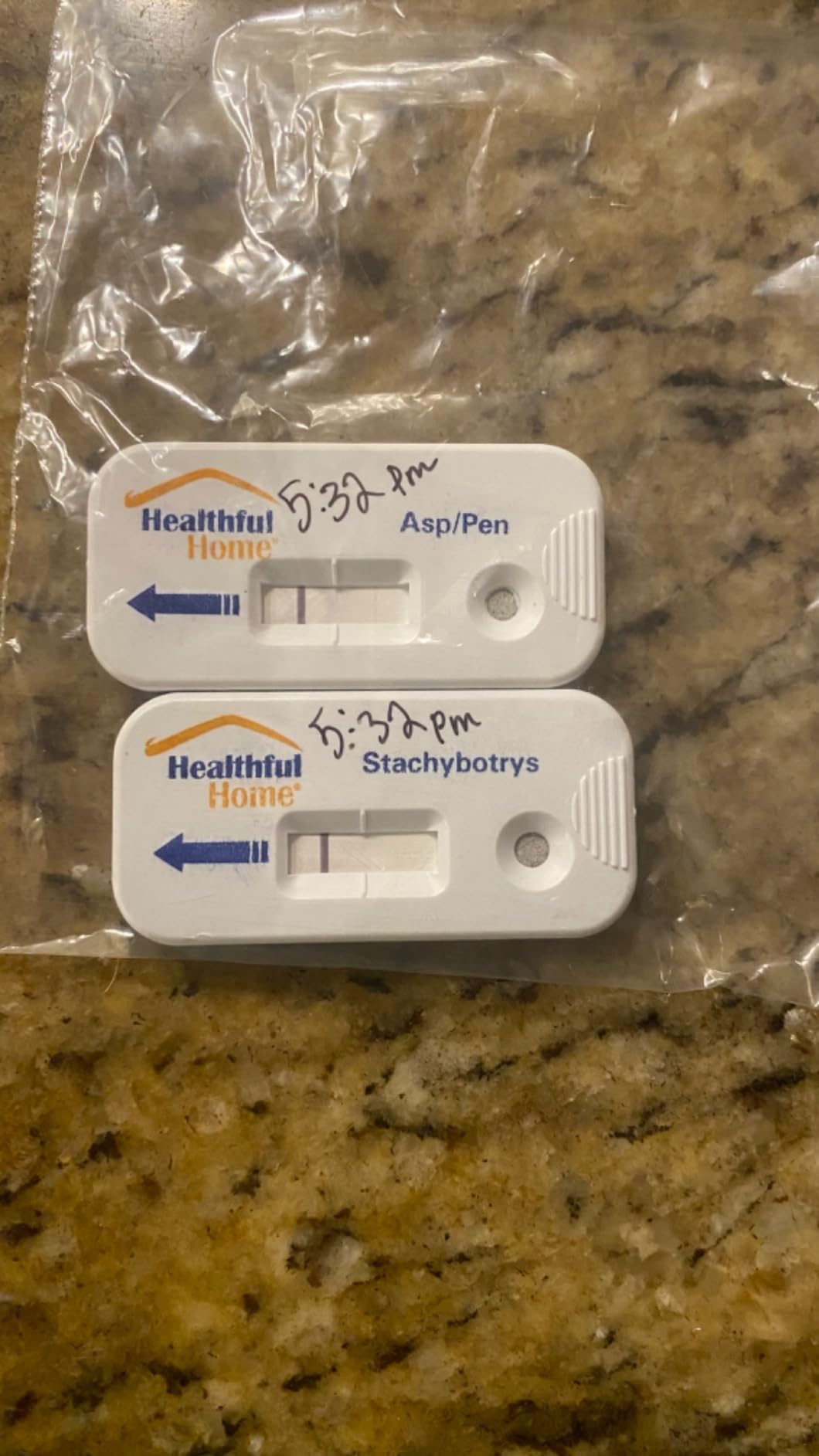 Healthful Home 5-Minute Mold Test Kit - Easy At-Home Mold Detection for Aspergillus/Penicillium & Stachybotrys, DIY Testing for Indoor Air & Moist Areas, No Lab Required, Includes Expert Consultation customer photo 2