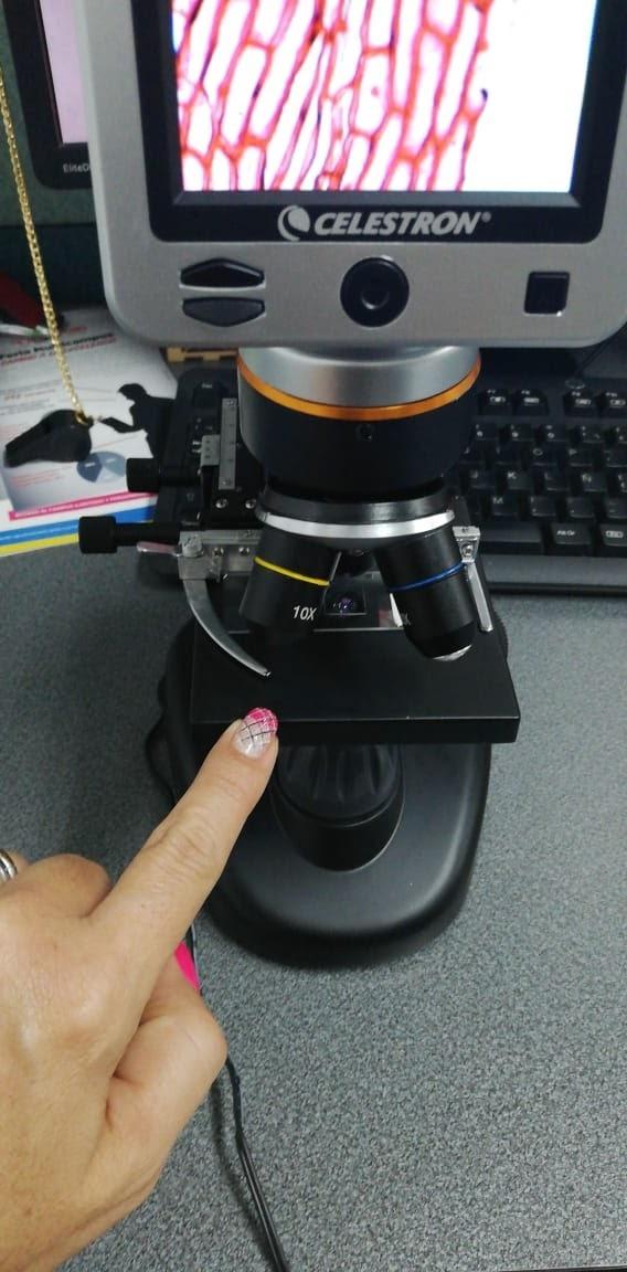 Celestron LCD Digital Microscope II – 3.5