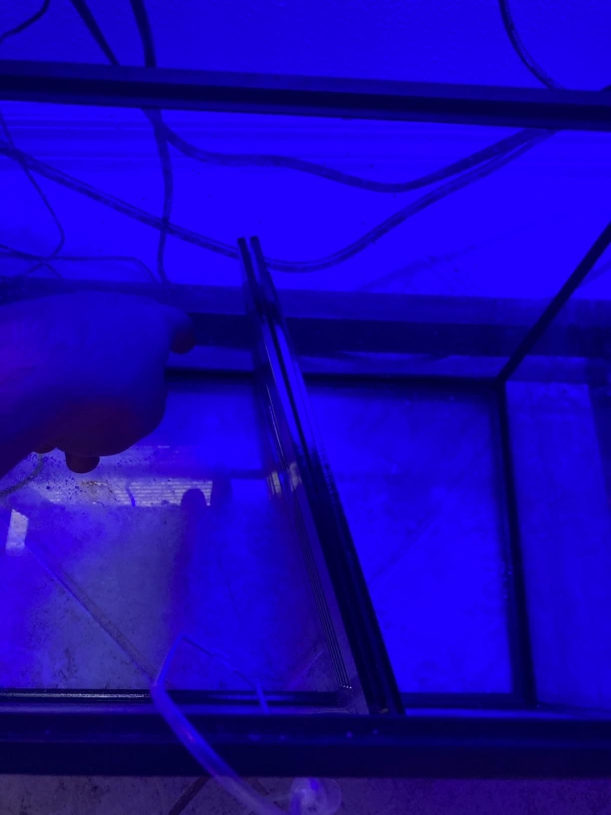 Bubblefin Aquarium Sump Refugium DIY Kit for Protein Skimmer Sump - Chamber dividers for (20 Gallon Long) Tank is not Included customer photo 1