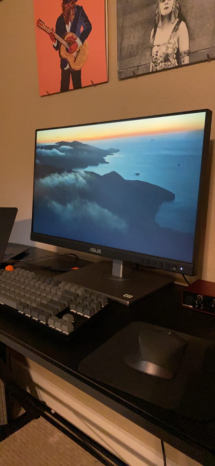 ASUS ProArt PA247CV 24 Inch 1080p USB-C Professional Monitor customer photo 2