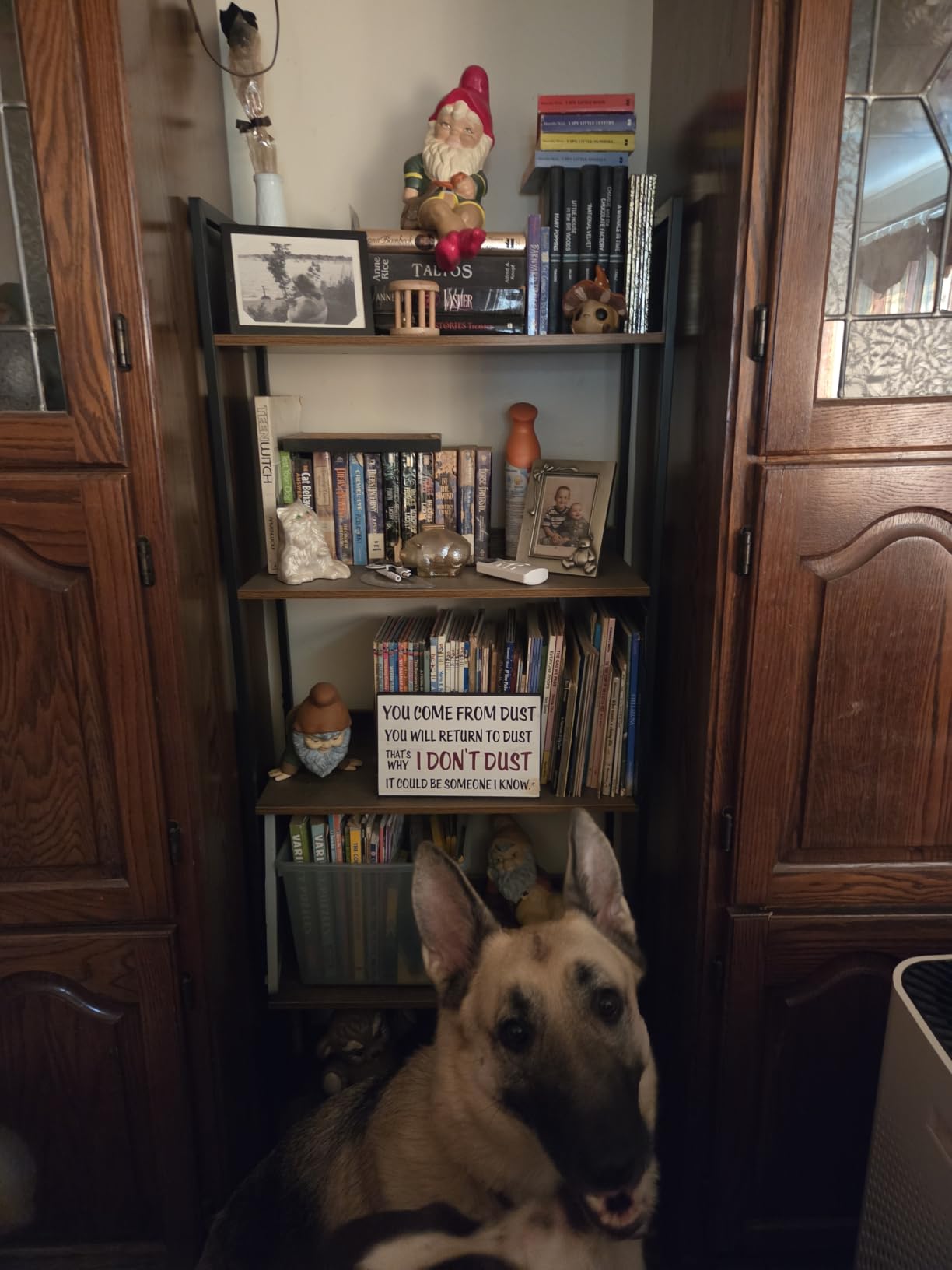 NUMENN Narrow Bookshelf, 5 Tier Freestanding Shelving Unit, Vintage customer photo 2